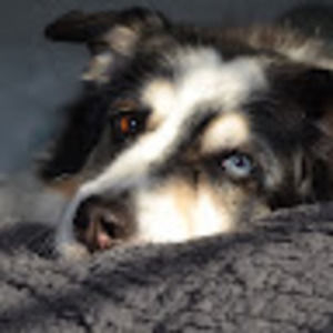 Meet your Posher, Nola